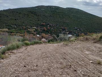 Terreno agricolo Bellona -Camiliano