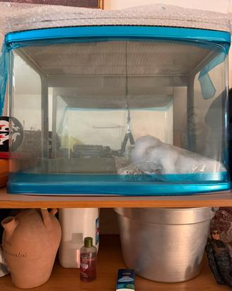 Acquario