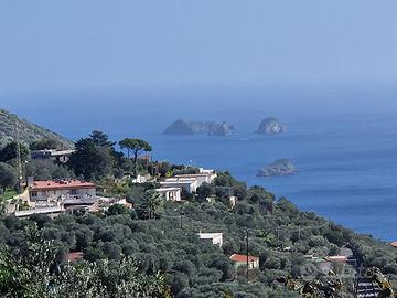 Panoramico