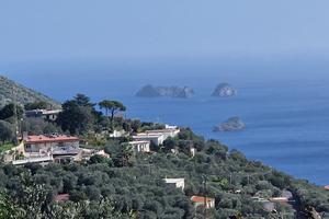 Panoramico