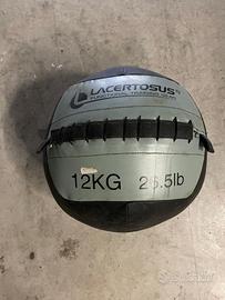 WALL BALL Brand LACERTOSUS