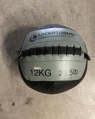 WALL BALL Brand LACERTOSUS