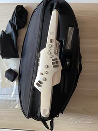Roland Aerophone Ae-10