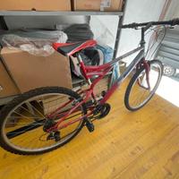 Bicicletta Mountain Bike