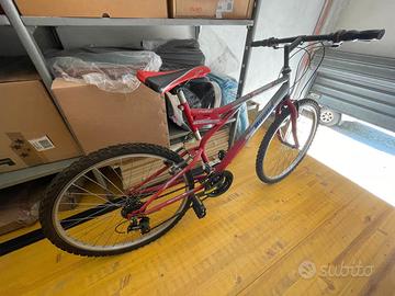 Bicicletta Mountain Bike