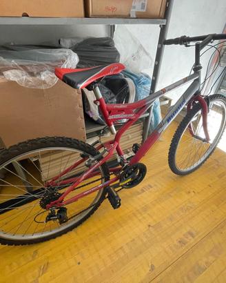 Bicicletta Mountain Bike