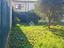 Immagine 23