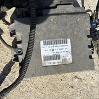 Cablaggio  fiat  75 cv