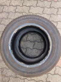 gomme all seasons 195 60 14