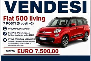 fiat 500 living