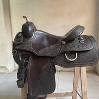 Sella western Pools da reining