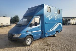 Van trasporto cavalli
