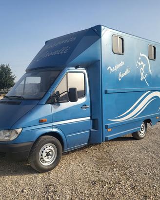 Van trasporto cavalli
