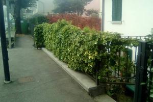 Casa indipendente a Bibbiena, 4 locali