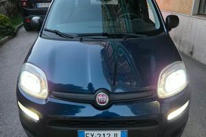 Fiato Panda 1.2 Gpl