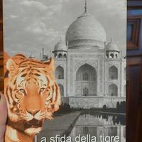 Bernard Cornwell, La sfida della tigre 