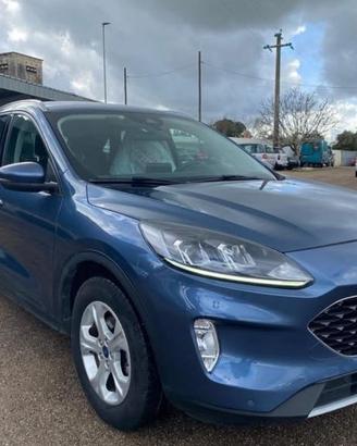 Ford Kuga 1.5 EcoBlue 120 CV 2WD ST-Line