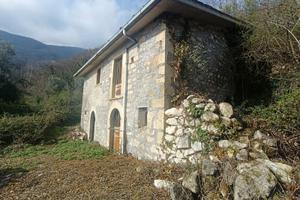 Casa nel bosco vista mare