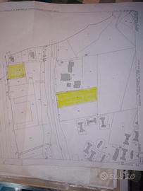 Gizzeria marina terreno