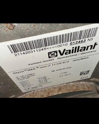 SCALDINO A GAS VAILLANT - da esterno