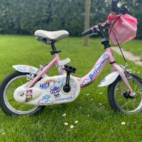 Bici Bottecchia raggio 12