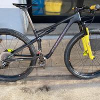 Specialized S-Works - S (Kit telaio / componenti)