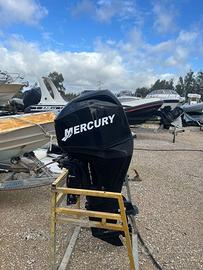 Motore Mercury 40/60 elpt efi