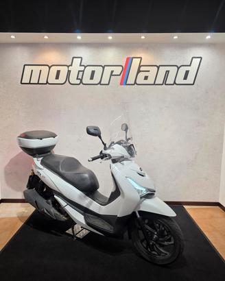 Sym HD 300
