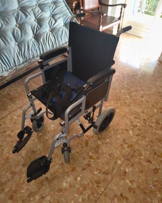 sedia a rotelle
