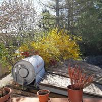 pannello solare termico