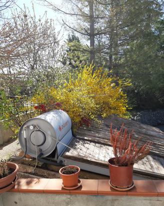 pannello solare termico