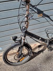 bicicletta elettrica 