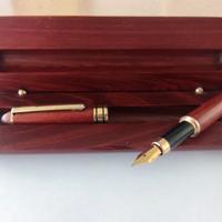 Penna stilografica  Iridium point Germany