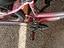 Immagine 3