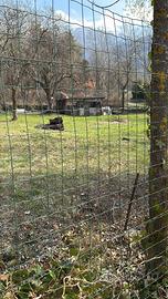 Terreno a gravere