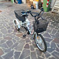 triciclo a pedalata assistita
