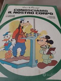 Walt disney - club giovani marmotte - enciclopedia