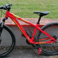 mtb specialized pitch