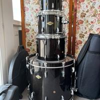 Pearl Master maple
