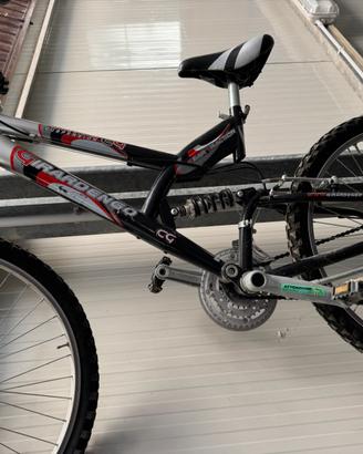 Bicicletta 7 marce