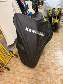 Telo coprimoto kawasaki