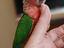 Immagine 2