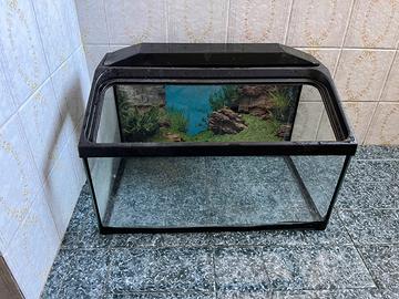 Acquario/ tartarughiera