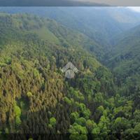RUSTICO A BOSCO CHIESANUOVA