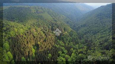 RUSTICO A BOSCO CHIESANUOVA
