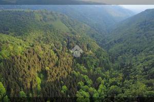 RUSTICO A BOSCO CHIESANUOVA