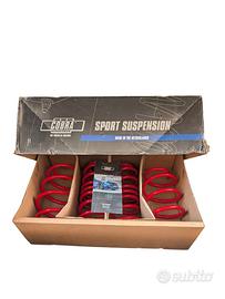Molle Sportive Cobra Sport Suspension