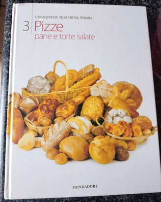 LIBRO  PIZZE E LIEVITATI