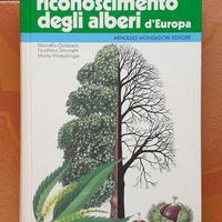 Alberi, erbe, uccelli, flora e fauna delle alpi