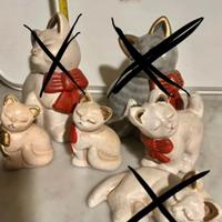 gatti thun pure separati :lexina -mara-rino